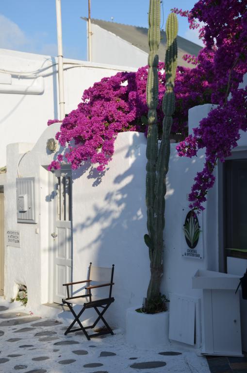 Appartamento White And Grey Chora Mykonos Town Esterno foto